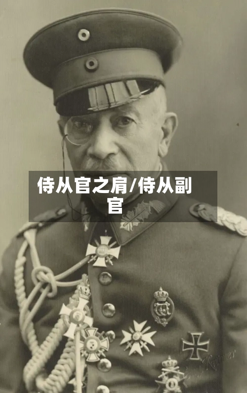 侍从官之肩/侍从副官