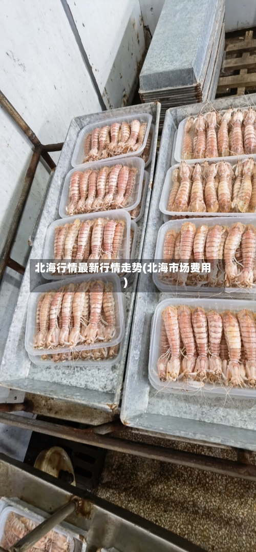 北海行情最新行情走势(北海市场费用)