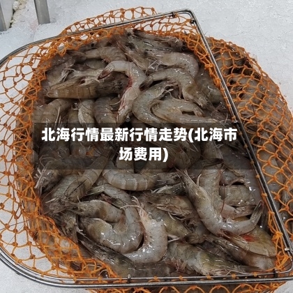 北海行情最新行情走势(北海市场费用)