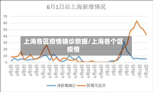上海各区疫情确诊数据/上海各个区疫情