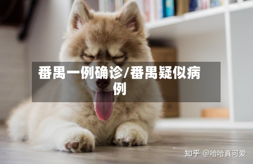 番禺一例确诊/番禺疑似病例