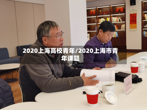 2020上海高校青年/2020上海市青年课题