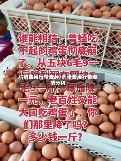鸡蛋费用行情走势/鸡蛋费用行情走势分析