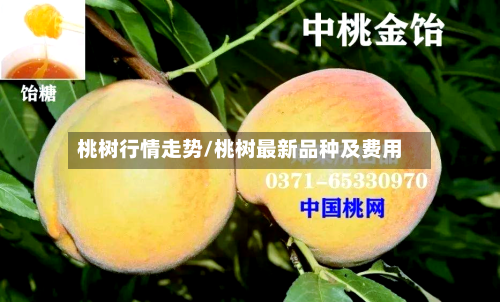 桃树行情走势/桃树最新品种及费用