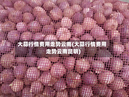 大蒜行情费用走势云南(大蒜行情费用走势云南昆明)