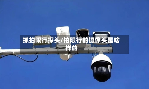 抓拍限行探头/拍限行的摄像头是啥样的