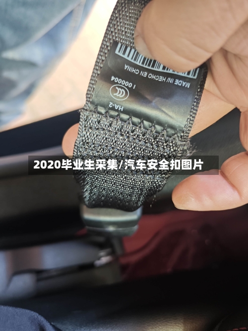 2020毕业生采集/汽车安全扣图片