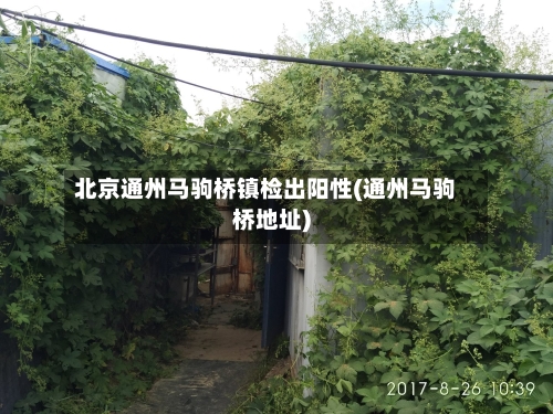 北京通州马驹桥镇检出阳性(通州马驹桥地址)