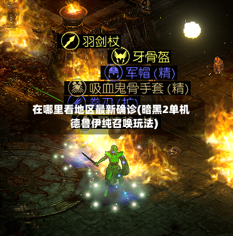 在哪里看地区最新确诊(暗黑2单机德鲁伊纯召唤玩法)