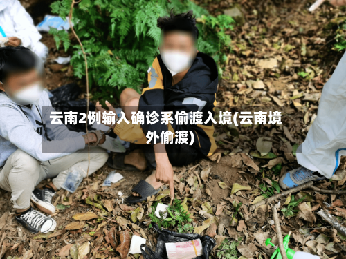 云南2例输入确诊系偷渡入境(云南境外偷渡)