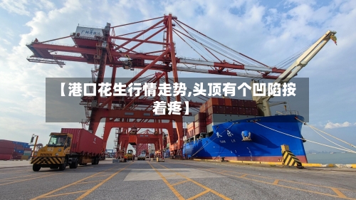 【港口花生行情走势,头顶有个凹陷按着疼】