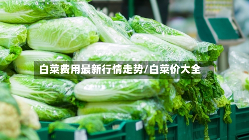 白菜费用最新行情走势/白菜价大全