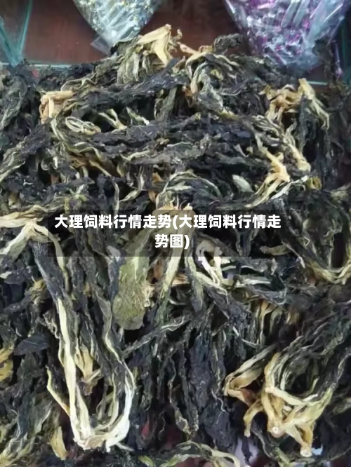 大理饲料行情走势(大理饲料行情走势图)