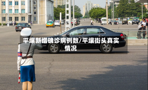 平壤新增确诊病例数/平壤街头真实情况
