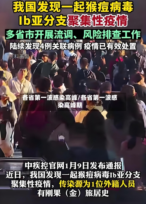 各省第一波感染高峰/各省第一波感染高峰期