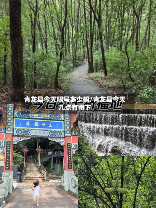 青龙县今天限号多少码/青龙县今天几点有雨下