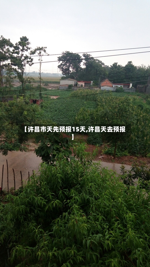 【许昌市天先预报15天,许昌天去预报】