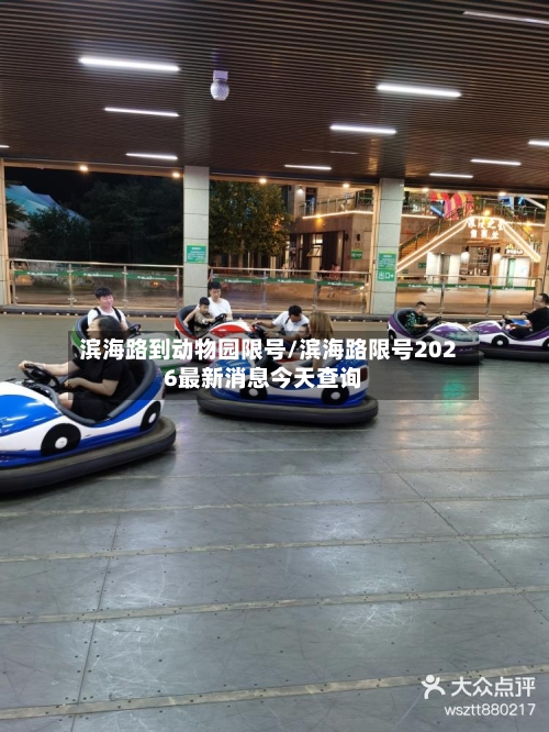 滨海路到动物园限号/滨海路限号2026最新消息今天查询