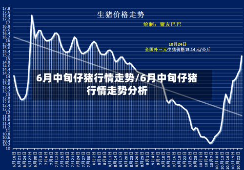 6月中旬仔猪行情走势/6月中旬仔猪行情走势分析