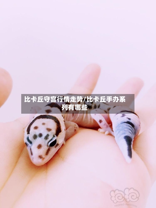 比卡丘守宫行情走势/比卡丘手办系列有哪些