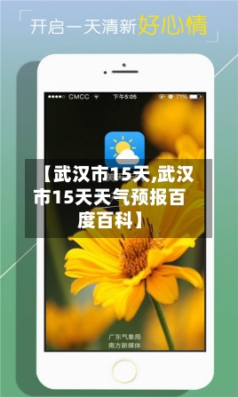 【武汉市15天,武汉市15天天气预报百度百科】