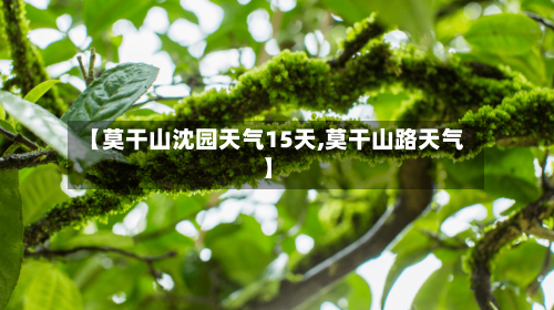 【莫干山沈园天气15天,莫干山路天气】