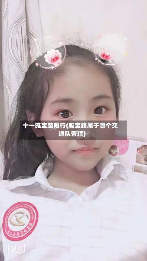 十一雅宝路限行(雅宝路属于哪个交通队管辖)