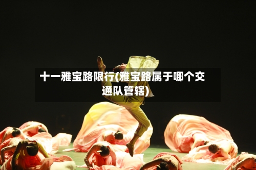 十一雅宝路限行(雅宝路属于哪个交通队管辖)
