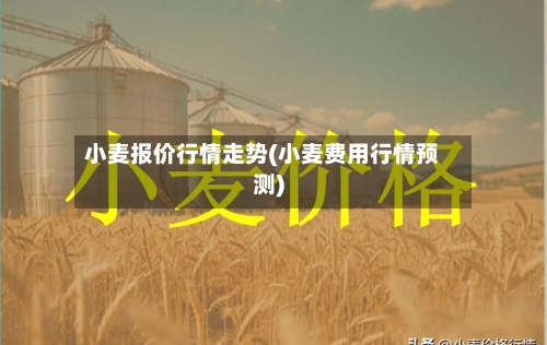 小麦报价行情走势(小麦费用行情预测)
