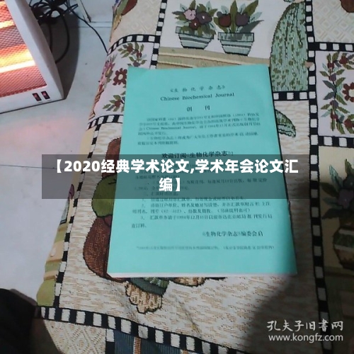 【2020经典学术论文,学术年会论文汇编】