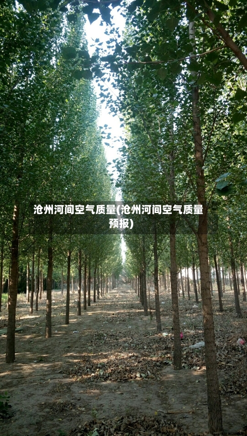 沧州河间空气质量(沧州河间空气质量预报)
