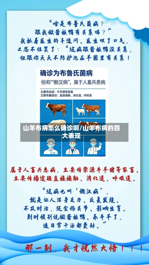 山羊布病怎么确诊啊/山羊布病的四大表现