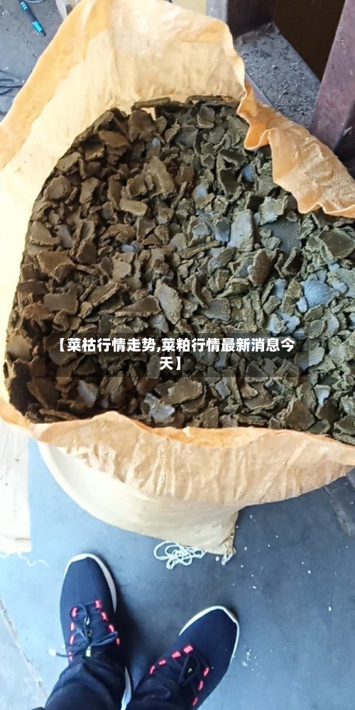 【菜枯行情走势,菜粕行情最新消息今天】