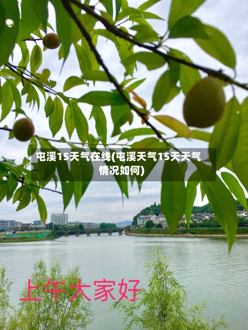屯溪15天气在线(屯溪天气15天天气情况如何)