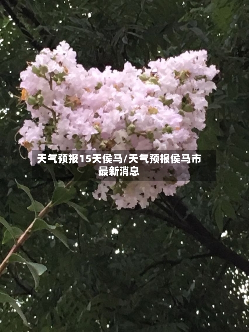 天气预报15天侯马/天气预报侯马市最新消息