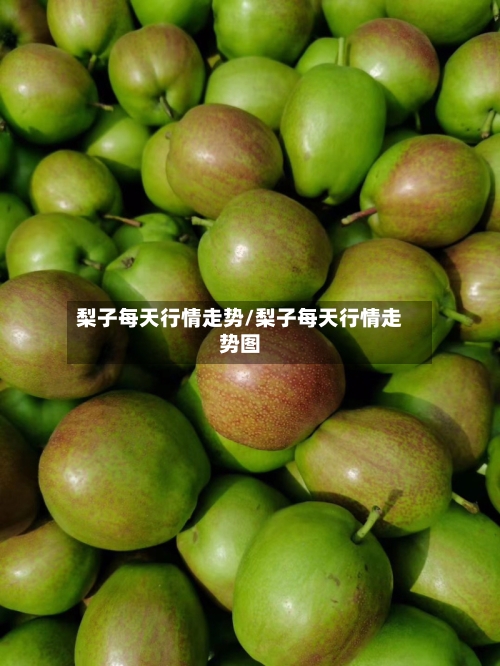 梨子每天行情走势/梨子每天行情走势图