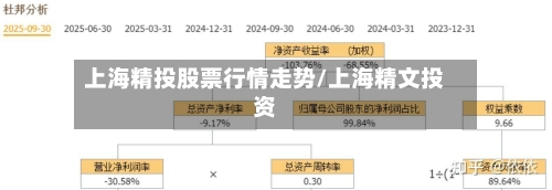 上海精投股票行情走势/上海精文投资