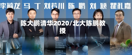 陈大鹏清华2020/北大陈鹏教授