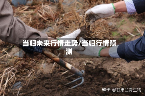 当归未来行情走势/当归行情预测