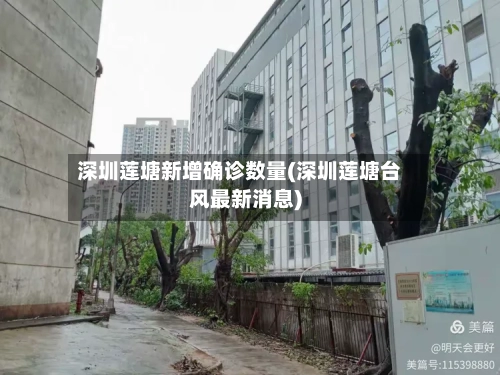 深圳莲塘新增确诊数量(深圳莲塘台风最新消息)