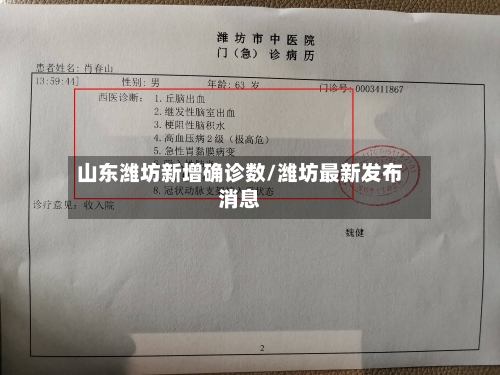 山东潍坊新增确诊数/潍坊最新发布消息