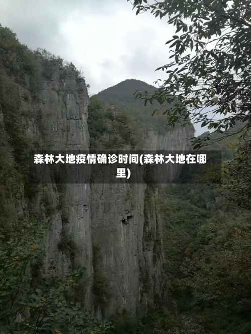 森林大地疫情确诊时间(森林大地在哪里)