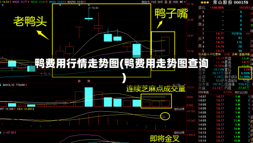 鸭费用行情走势图(鸭费用走势图查询)