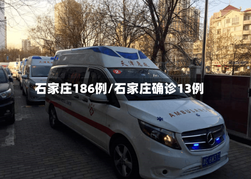 石家庄186例/石家庄确诊13例