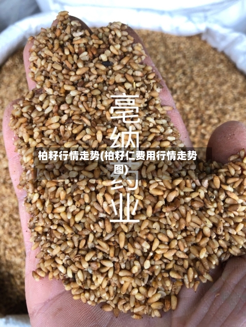 柏籽行情走势(柏籽仁费用行情走势图)