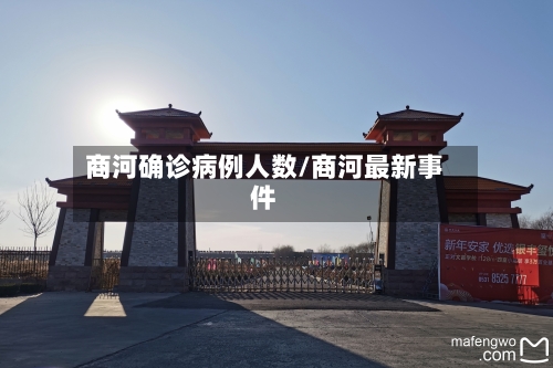 商河确诊病例人数/商河最新事件