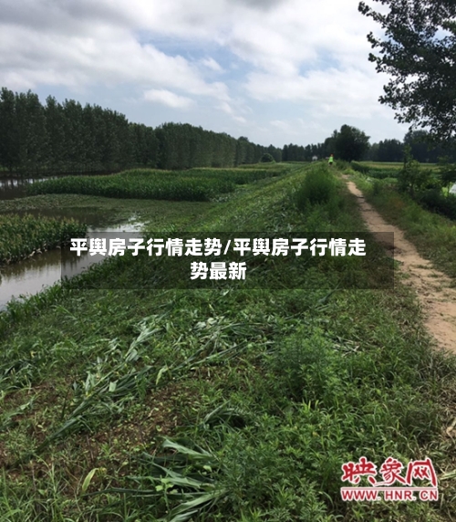 平舆房子行情走势/平舆房子行情走势最新