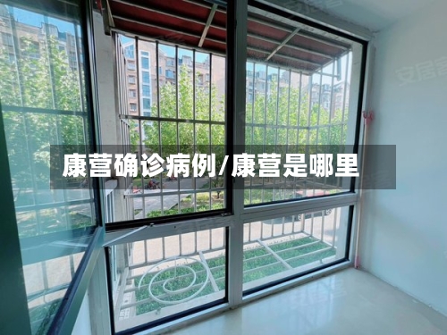 康营确诊病例/康营是哪里