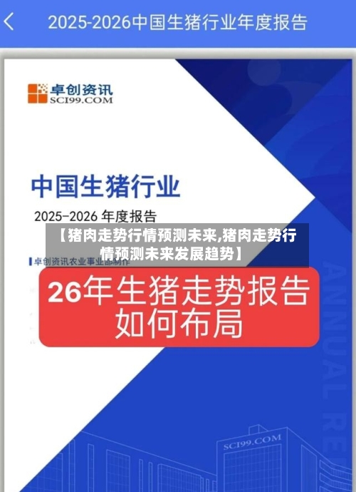 【猪肉走势行情预测未来,猪肉走势行情预测未来发展趋势】