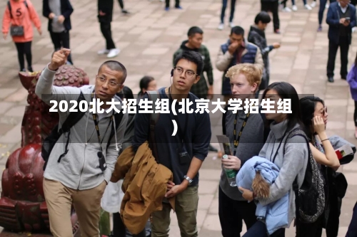 2020北大招生组(北京大学招生组)